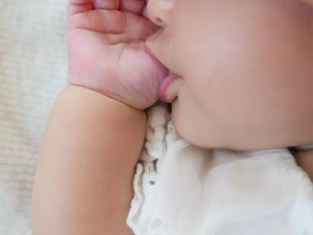 指しゃぶりする子供の画像